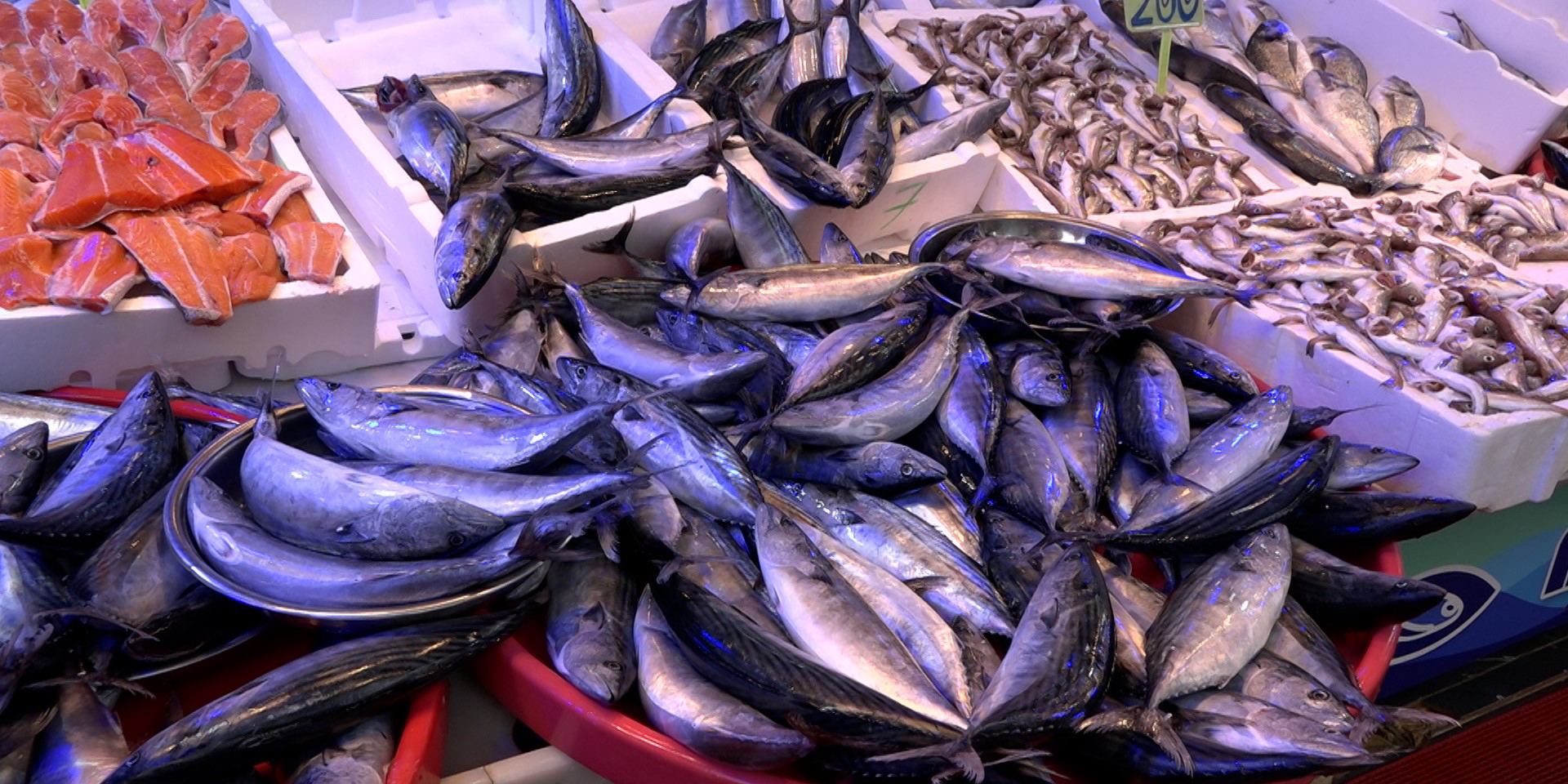 Rize'de palamut hem vatandaşın hem esnafın yüzünü güldürüyor