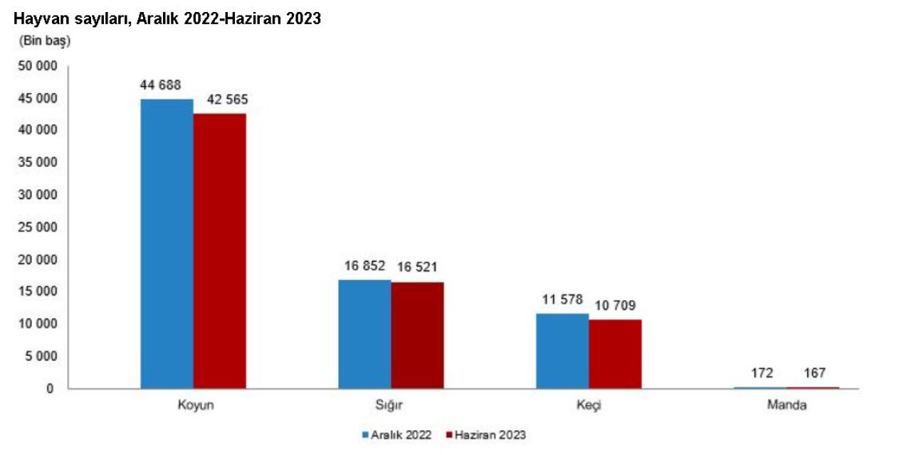 Tüik: 2023'te Büyükbaş Ve Küçükbaş Hayvan Sayısı Azaldı
