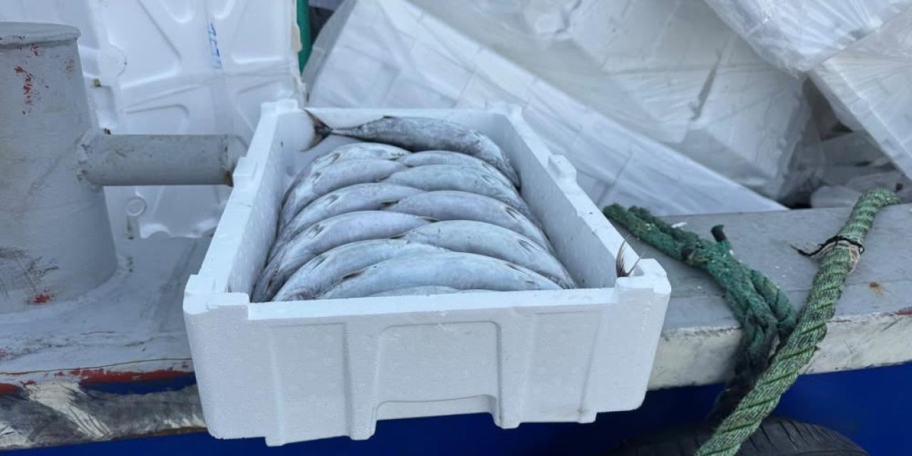 Palamudun içine konulduğu strafor köpük kasasının fiyatı palamuttan 3 kat pahalı