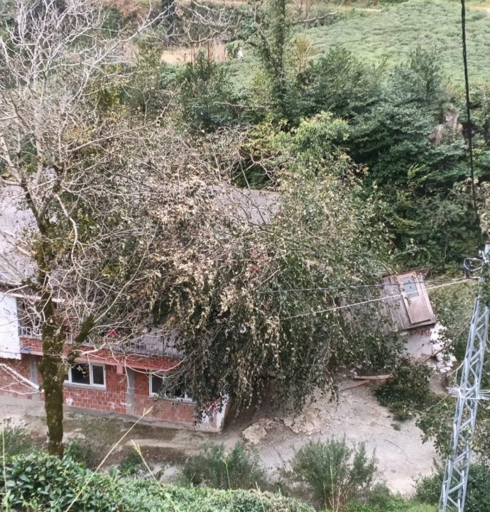 Kuvvetli rüzgâr nedeniyle devrilen ağaç evin çatısına düştü