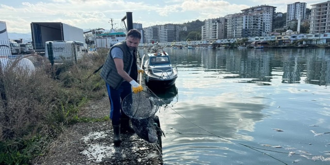 Rize'de balık çöplüğüne dönen liman temizlendi