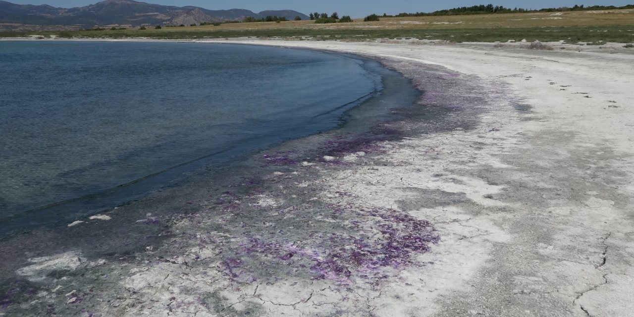 Burdur Gölü Sahili Morardı