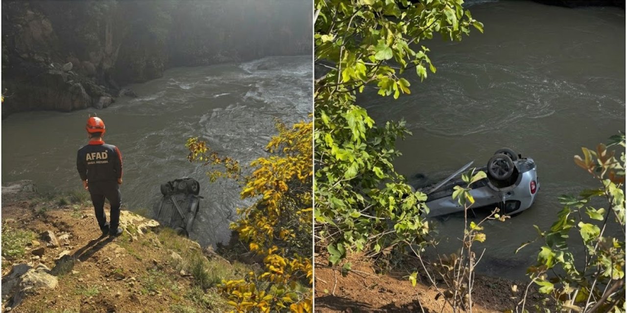 Artvin’de araç dereye düştü: 1 yaralı