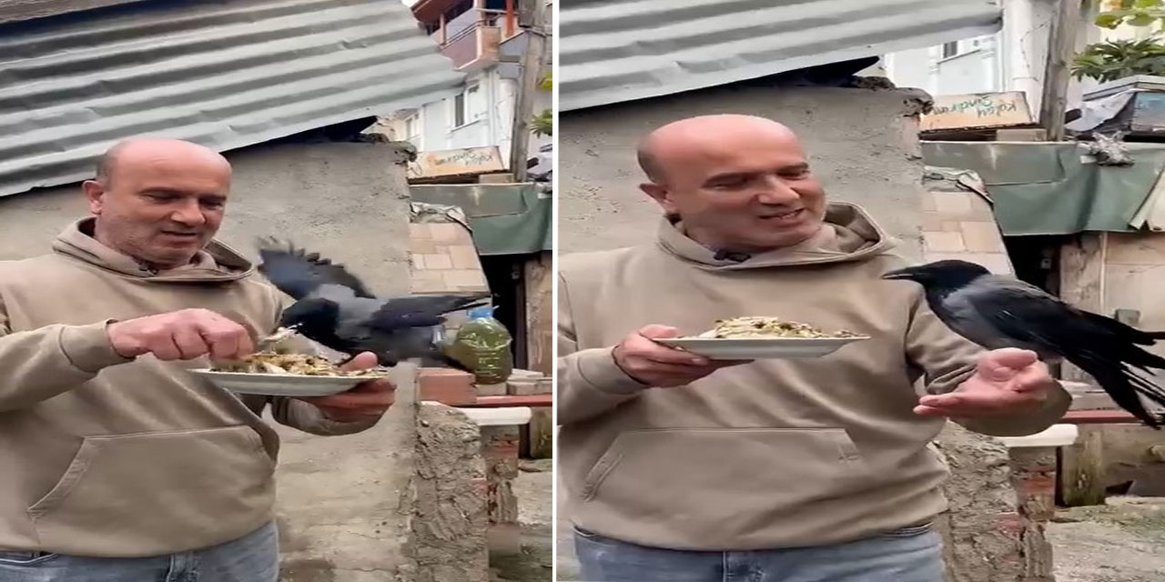 4 yıldır beslediği kargasına elleriyle balık yedirdi