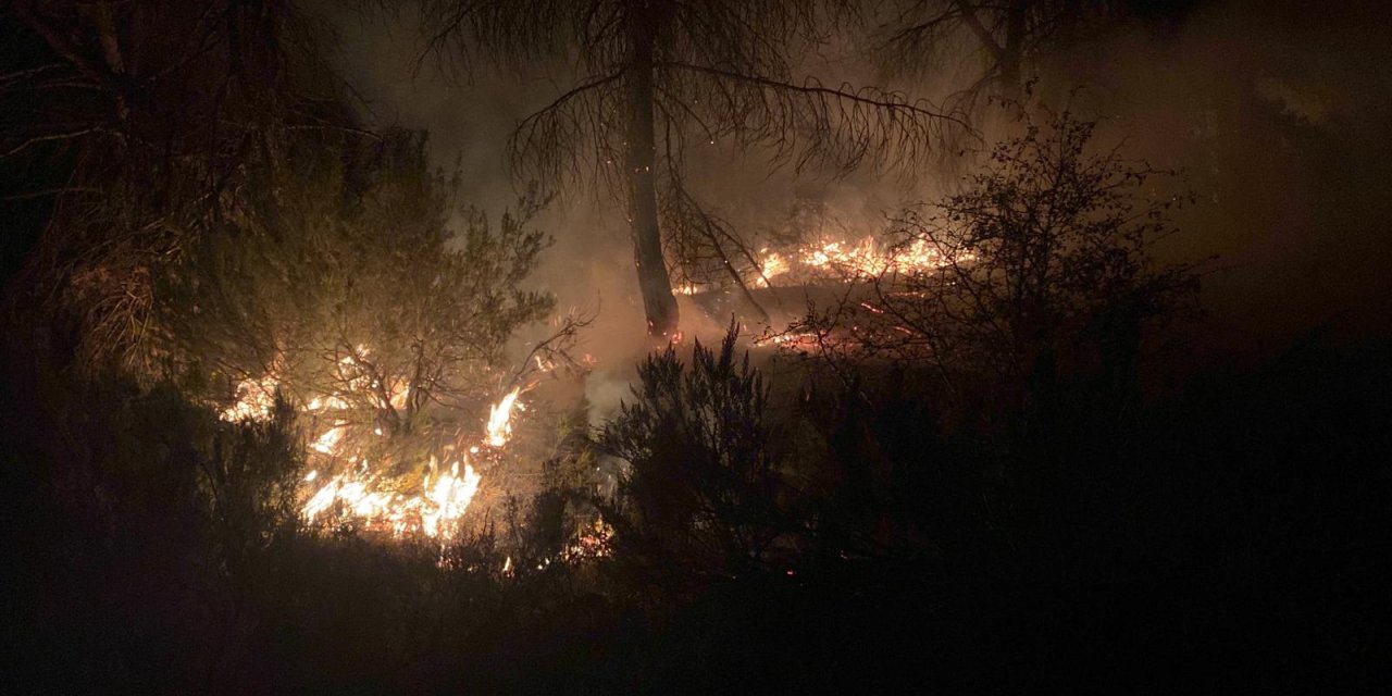Çekmeköy’de Orman Yangını