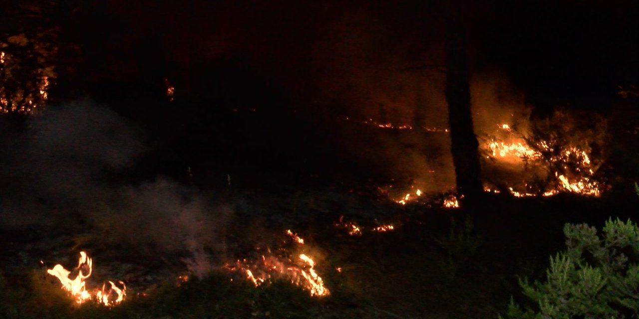 Çekmeköy'de Orman Yangını (Geniş Haber)