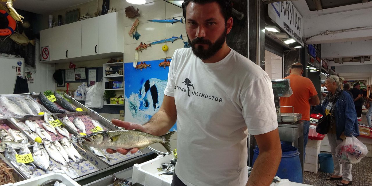 Çanakkale'de 'Denizin Prensi' Lüfer, Kilosu 600 Tl’den Tezgahtaki Yerini Aldı