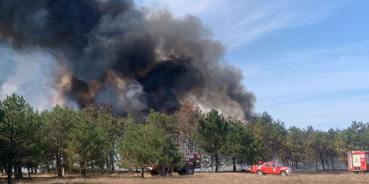 Çerkezköy'de Orman Yangını