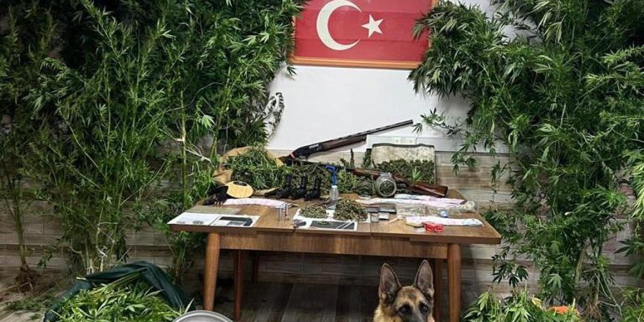 Sakarya'da Uyuşturucu Operasyonu: 6 Gözaltı