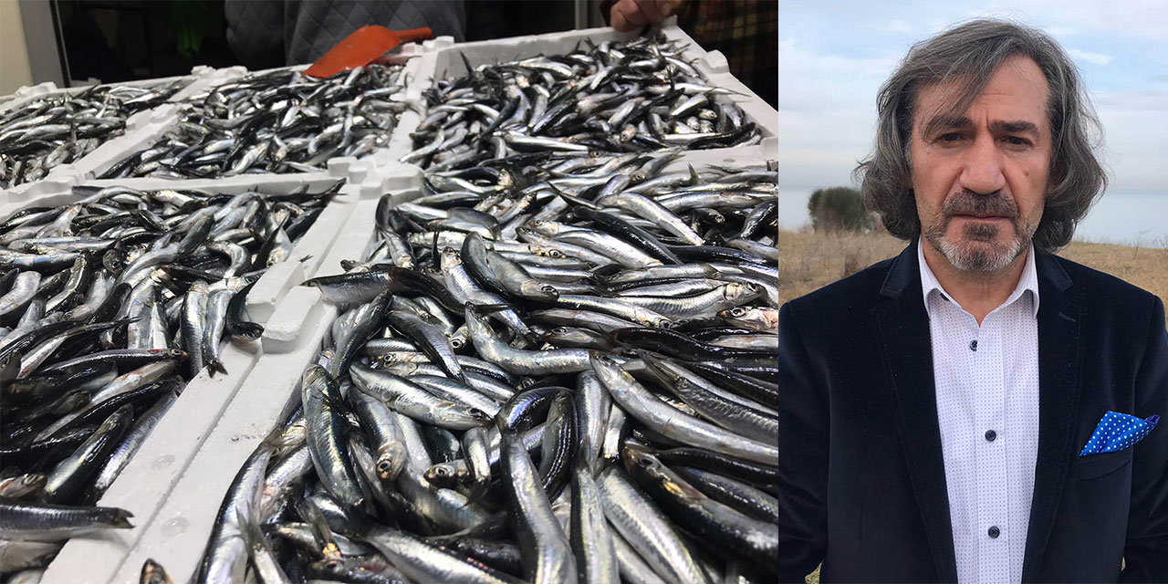 Prof. Dr. Dinçer: Hamsi Avcılığı Tamamen Durdurulmalı