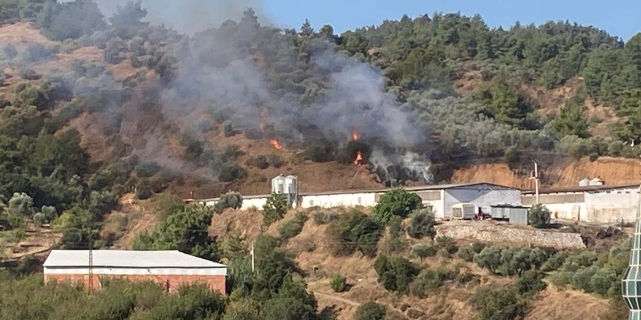 Turgutlu'da Ot Yangını, Büyümden Söndürüldü