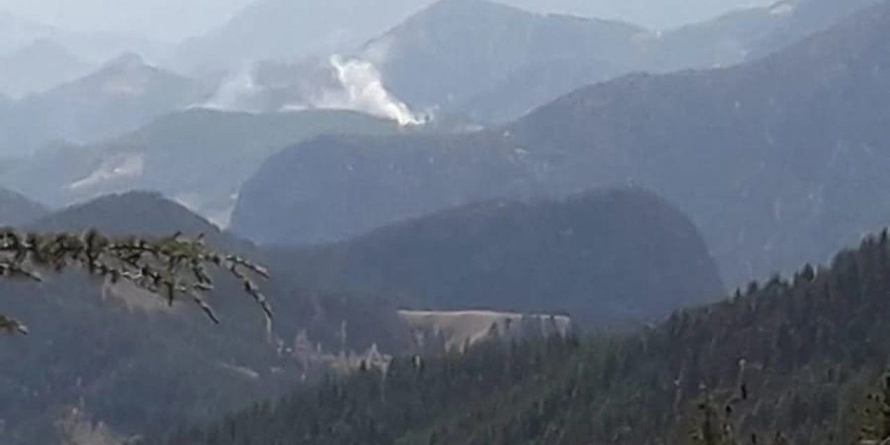 Adana'da Orman Yangını