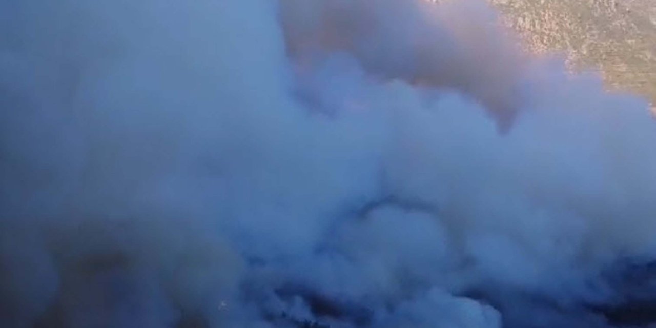 İzmir Menderes'te Orman Yangını