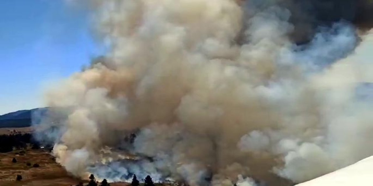 Bolu'da Orman Yangını (2)