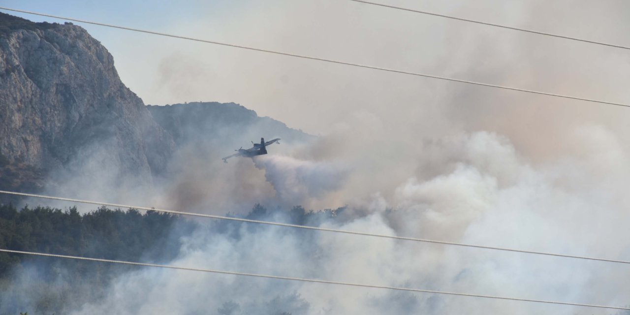 İzmir Menderes'te Orman Yangını (2)