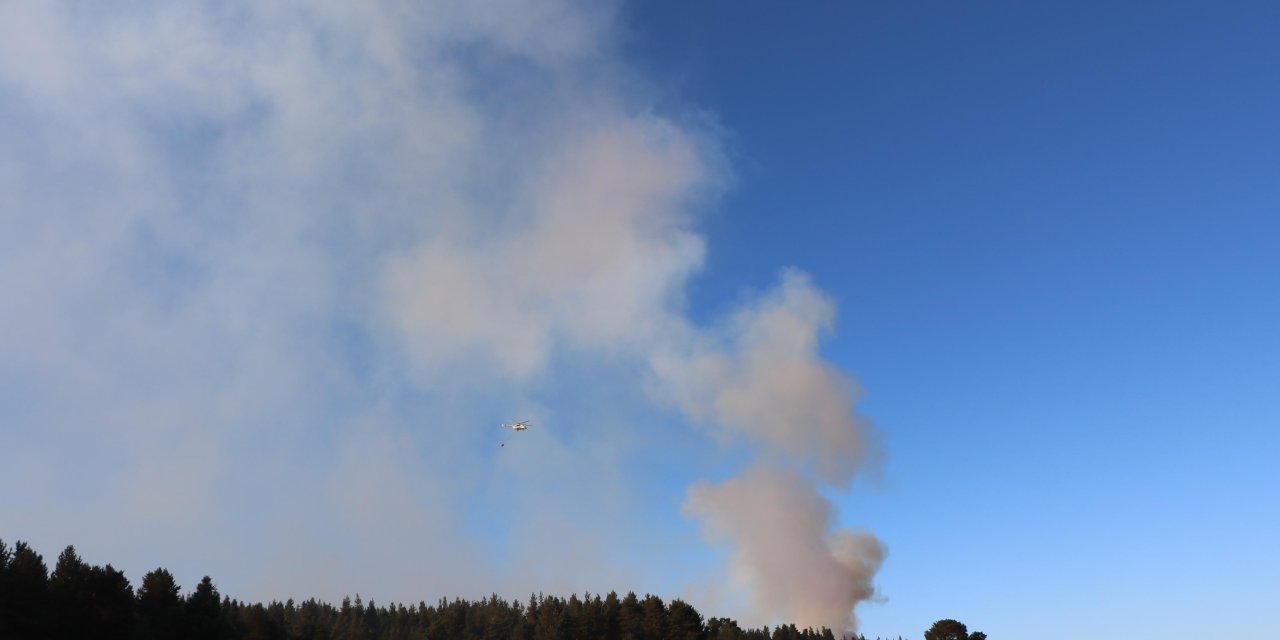 Bolu'da Orman Yangını (3)