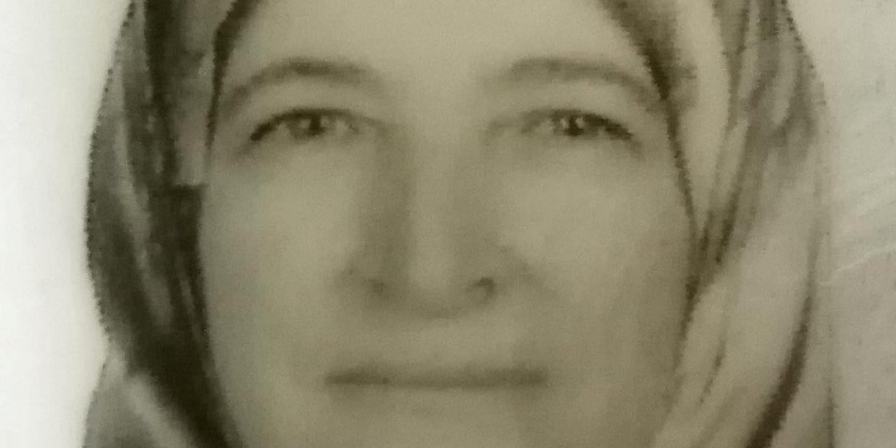 Bursa'da, Arının Soktuğu Kadın Öldü