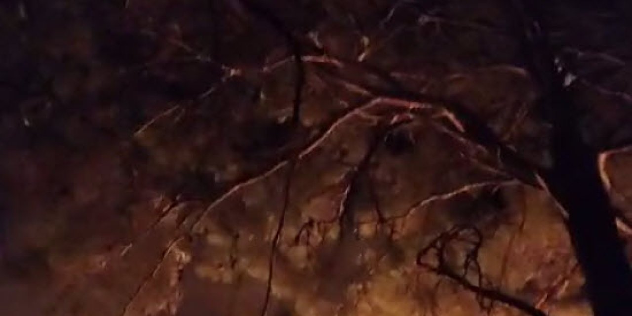 İzmir Menderes'te Orman Yangını (3)