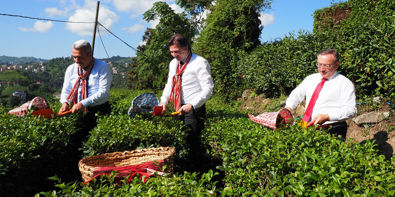 Tarım ve Orman Bakan Yardımcısı Dr. Ahmet Bağcı, Rize’de çeşitli temas ve incelemede bulundu.