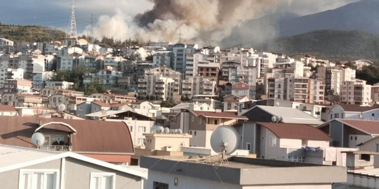 Bursa'da Orman Yangını