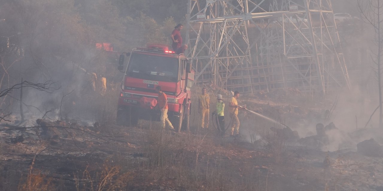 Bursa'da Orman Yangını (2)