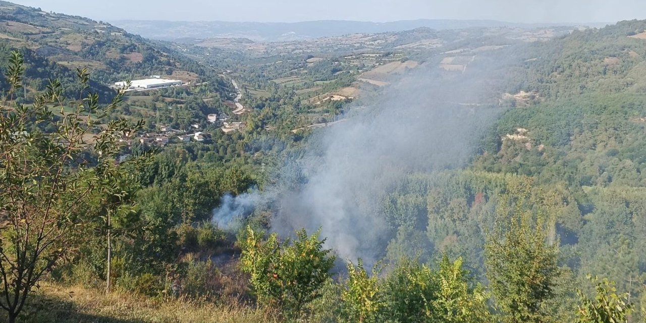Bahçesindeki Otları Temizlerken, Çıkan Yangında Hayatını Kaybetti