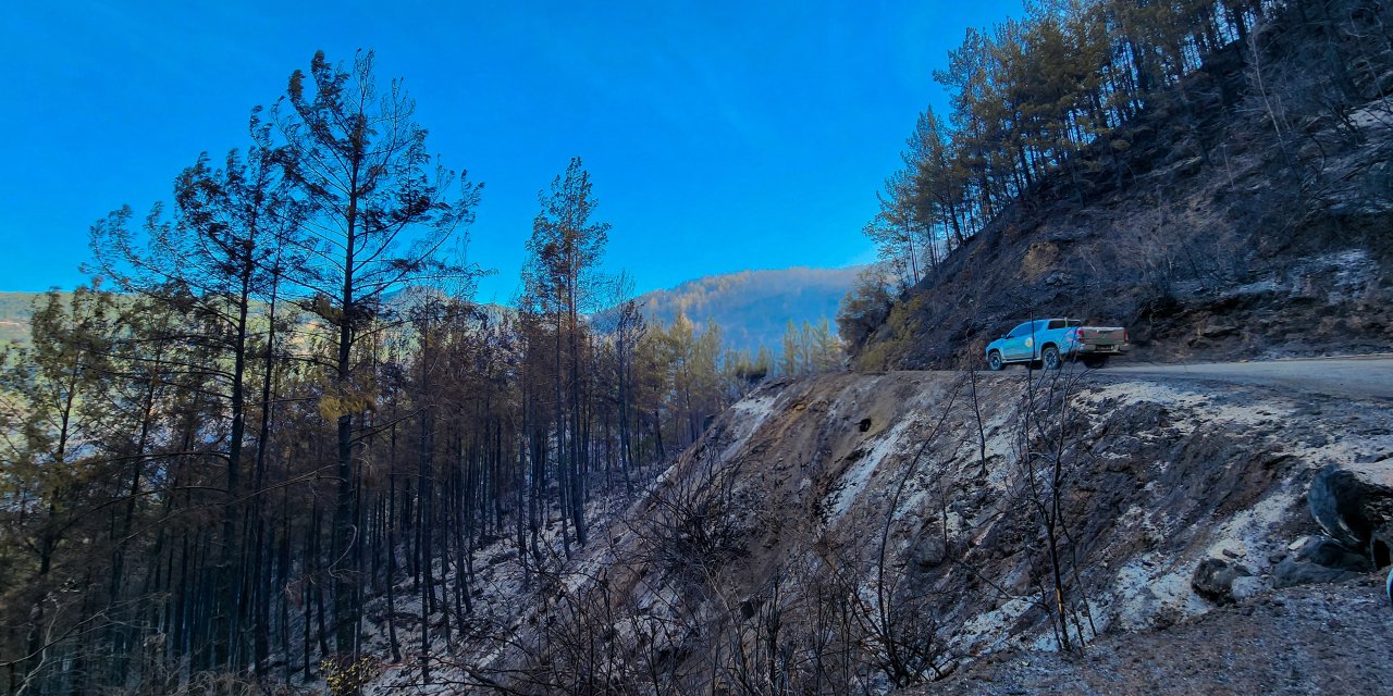 Alanya'daki Orman Yangınında 2'nci Gün