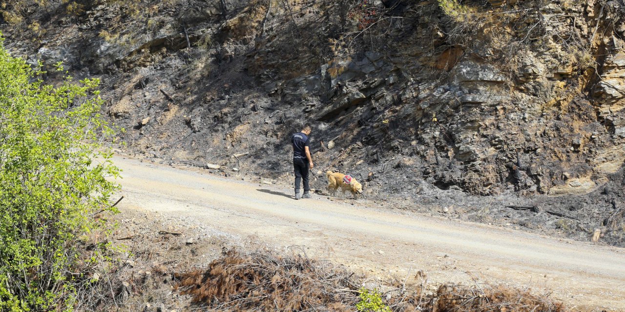 Alanya'daki Orman Yangınında 2'nci Gün (3)