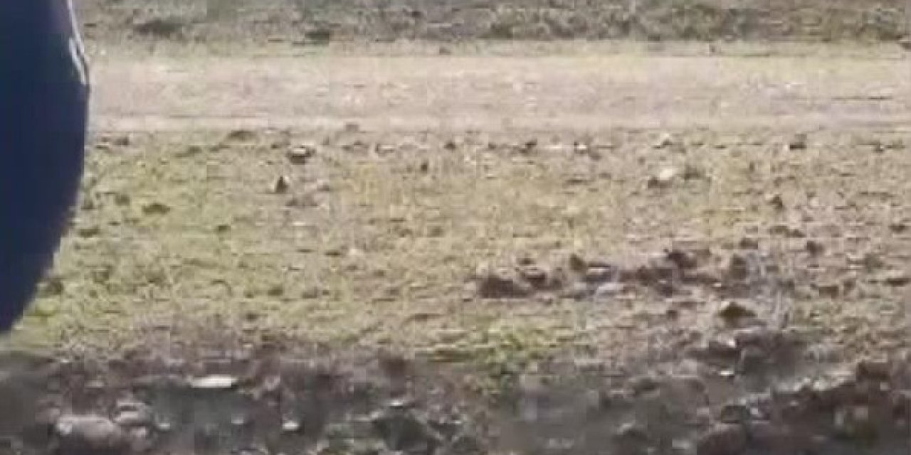 Sazlıdere Barajı’nda Leylekleri Silahla Vuran 2 Kişi Yakalandı