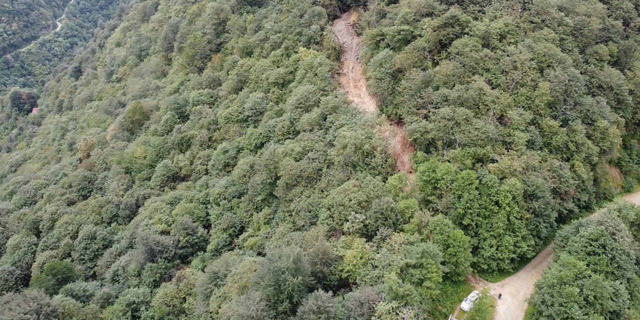 Define İçin Ormana İş Makinesiyle Yol Açtılar