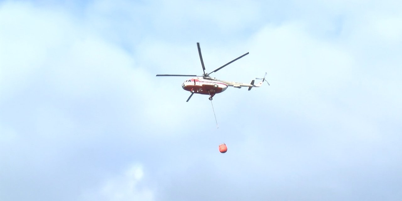 Sultanbeyli Aydos Ormanı'nda Yangın