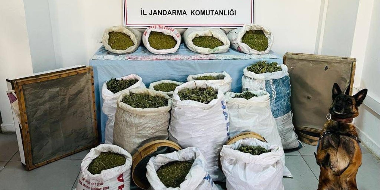 Jandarma Operasyonunda 241 Kilo Esrar Ele Geçirildi; 2 Tutuklama