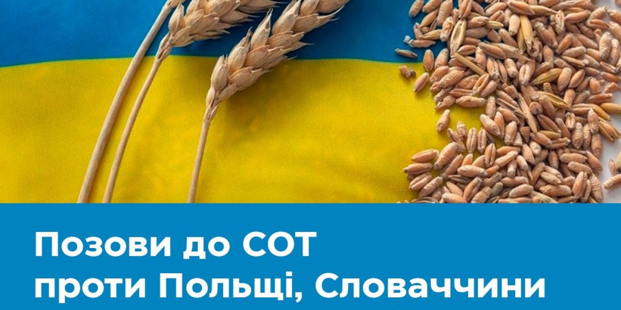 Ukrayna Ekonomi Bakanlığı: Polonya, Slovakya Ve Macaristan’a Karşı Dava Açtık