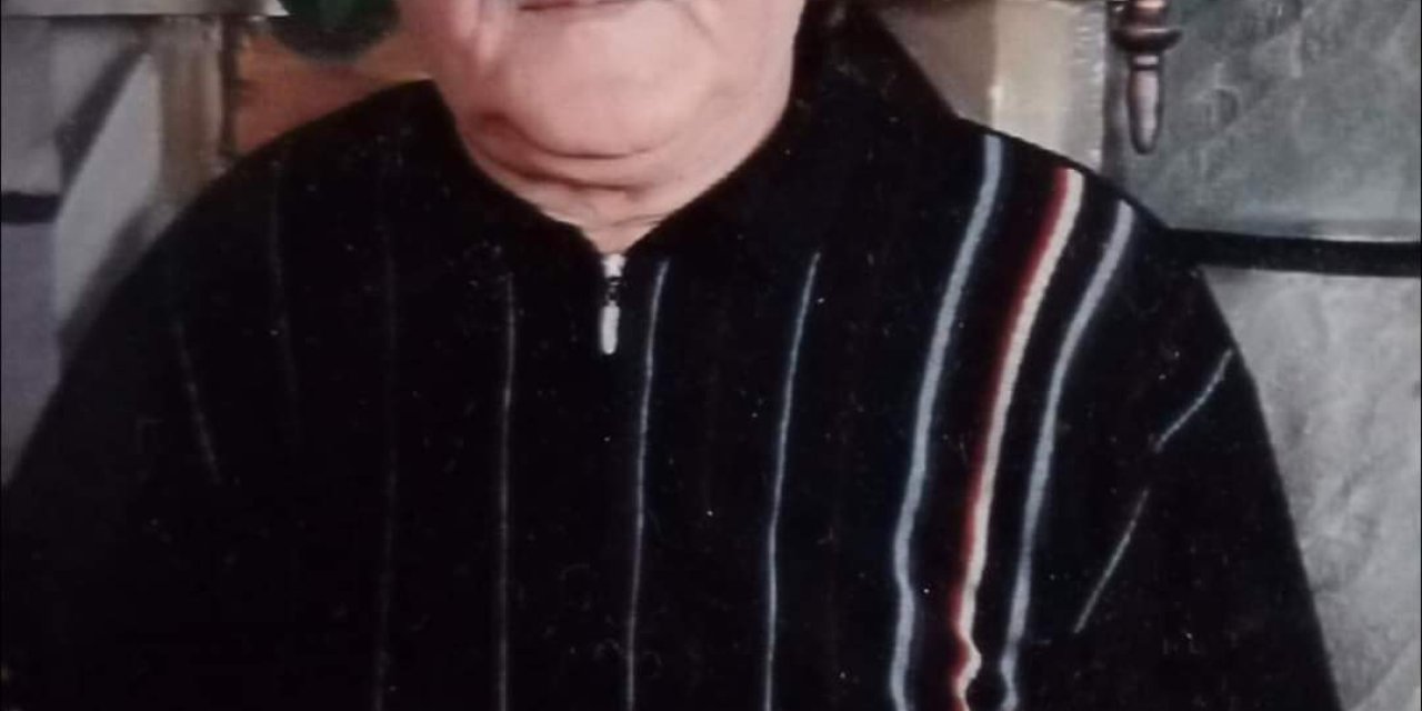 Tabancasını Temizlerken Kendini Vurdu, Hayatını Kaybetti