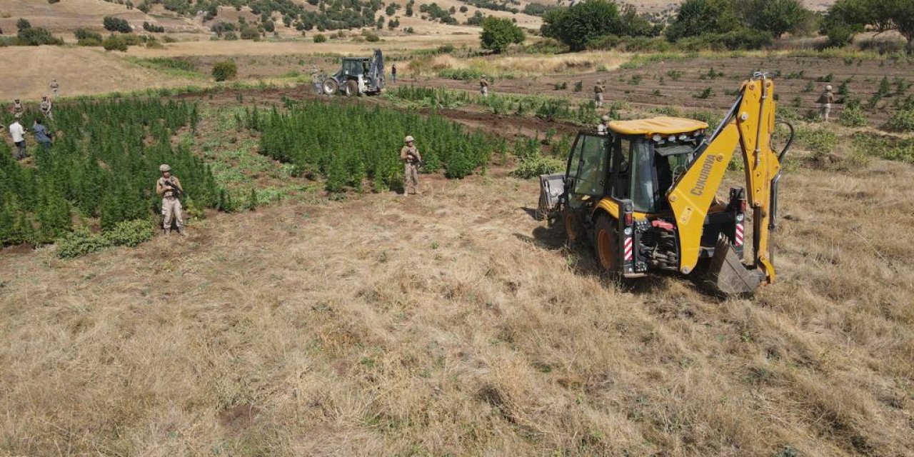 Diyarbakır’da Uyuşturucu Operasyonunda 2 Ton Esrar, 12 Milyon Kök Kenevir Ele Geçirildi