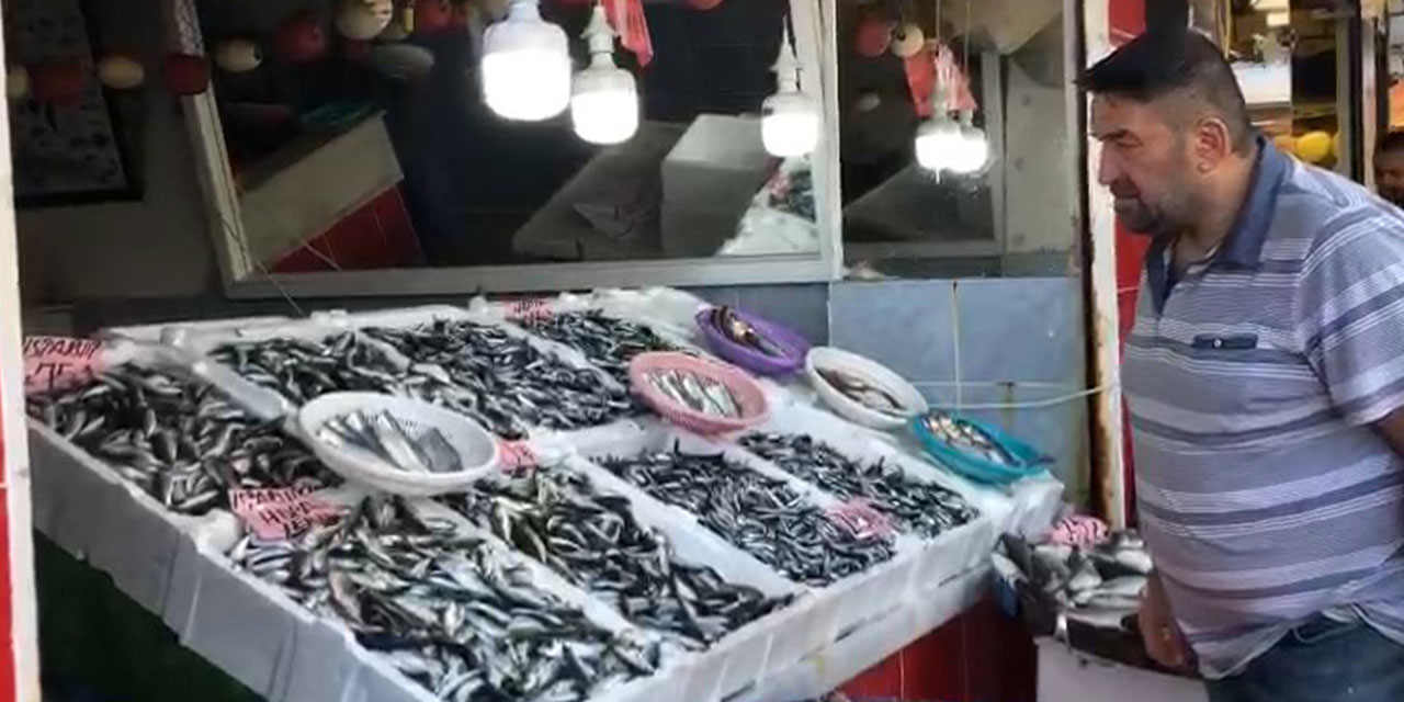 Rize'de sezonun ilk yerli hamsisi 100 TL’den tezgahtaki yerini aldı