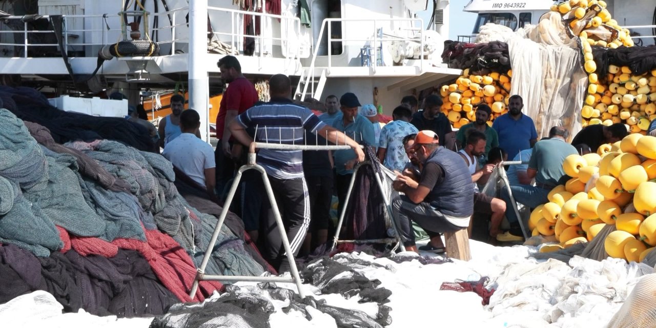 Haldeki Hamsi Tartışması Sürüyor