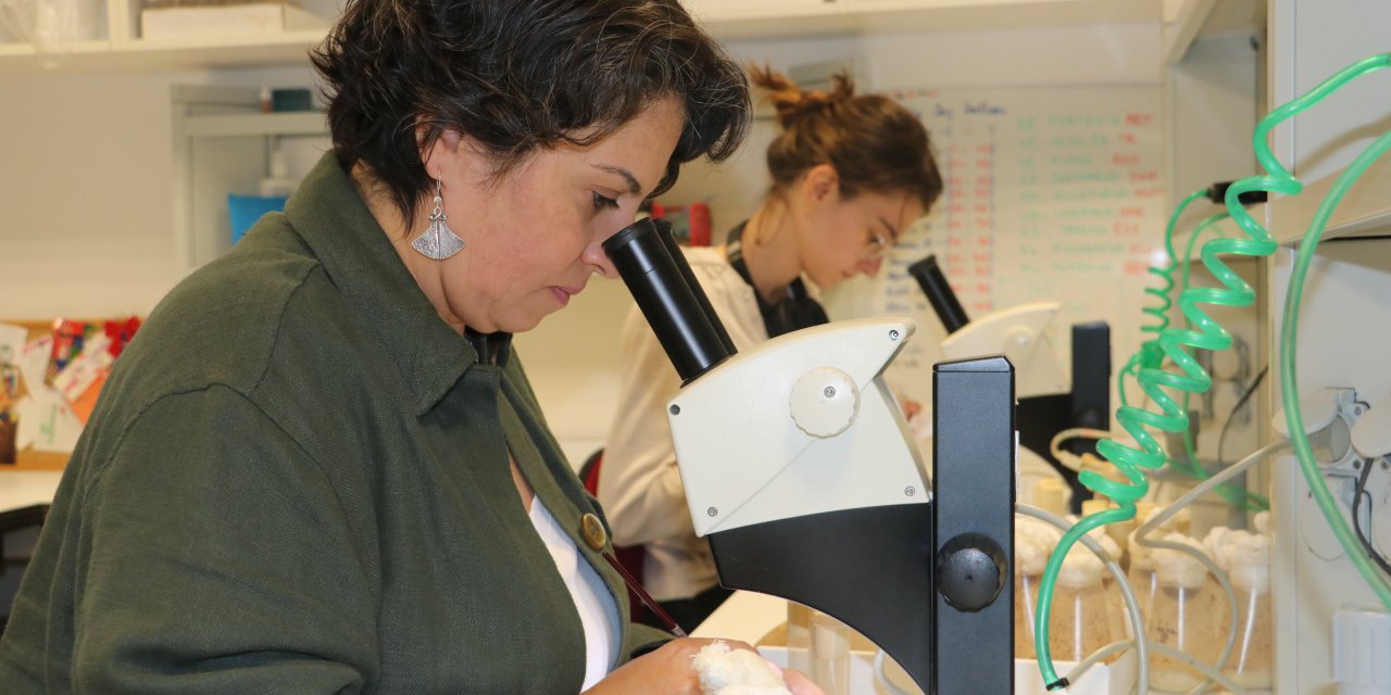 Risk Altındaki Canlıları İklim Değişikliğinden Koruyacak Proje