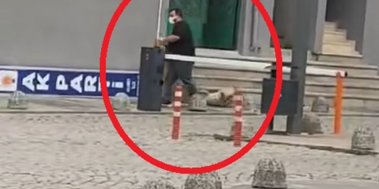 Başıboş Köpekleri Sürükleyerek Toplayan Belediye Görevlilerine Soruşturma