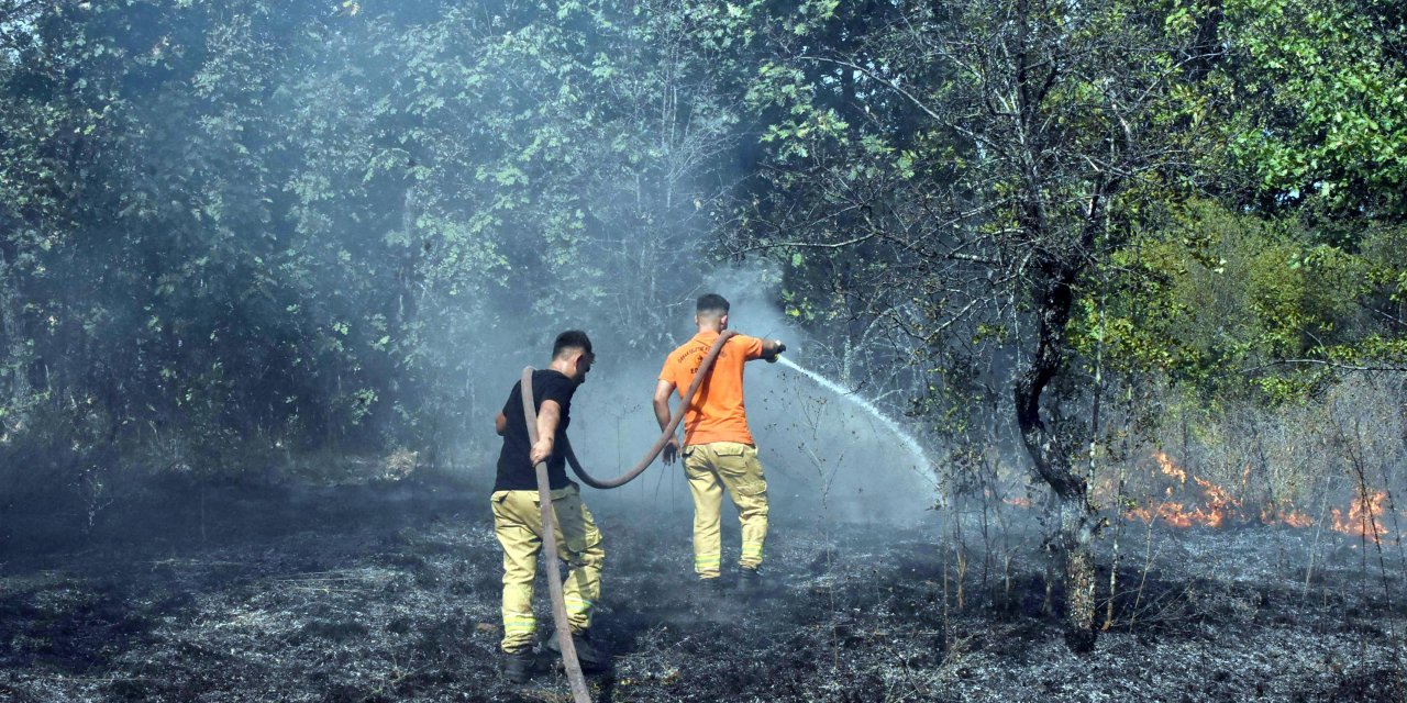 Edirne'de Orman Yangını