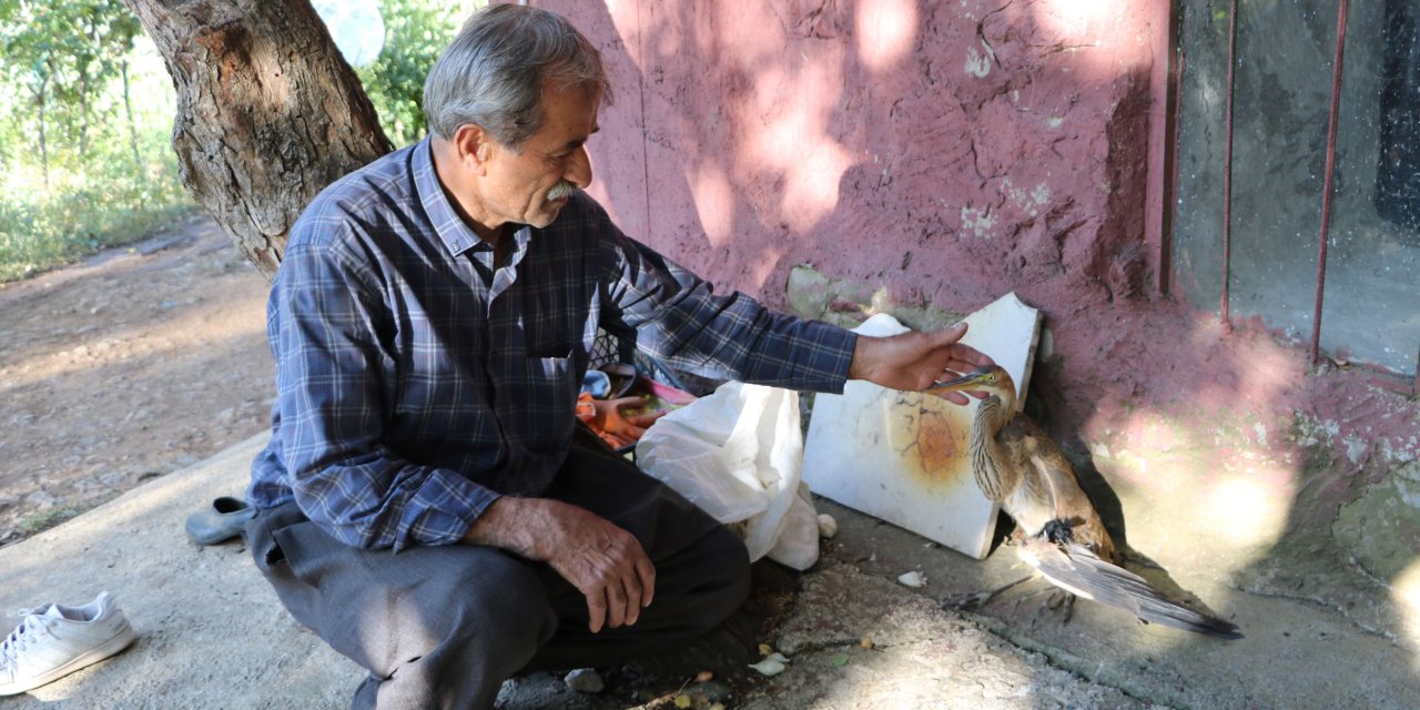 Yaralı Bulduğu Balaban Kuşunun Tedavisini Yapıp, Milli Parklar'a Teslim Etti