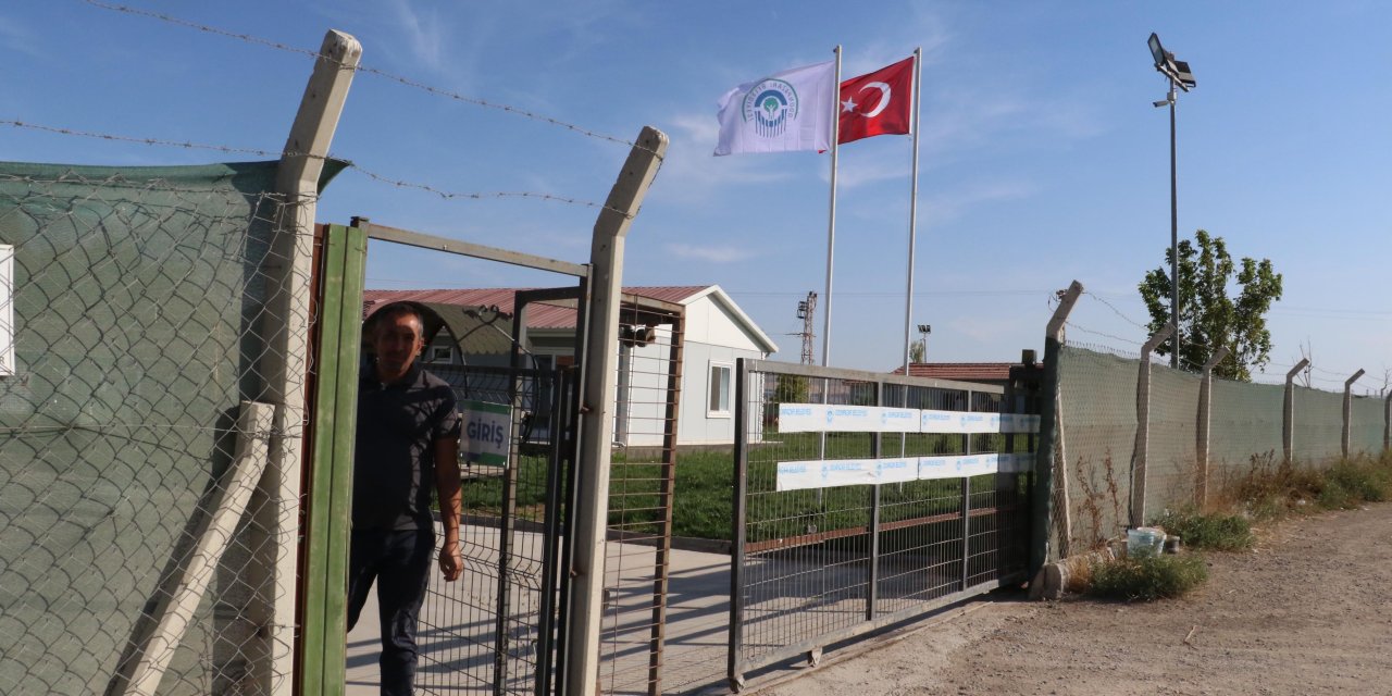 Eskişehir'de Belediyenin Hayvan Bakımevine Kapatma Kararı