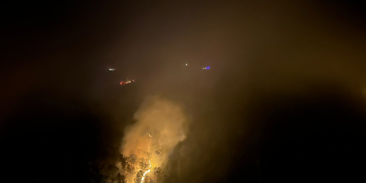 Karabük'te Orman Yangını (2)