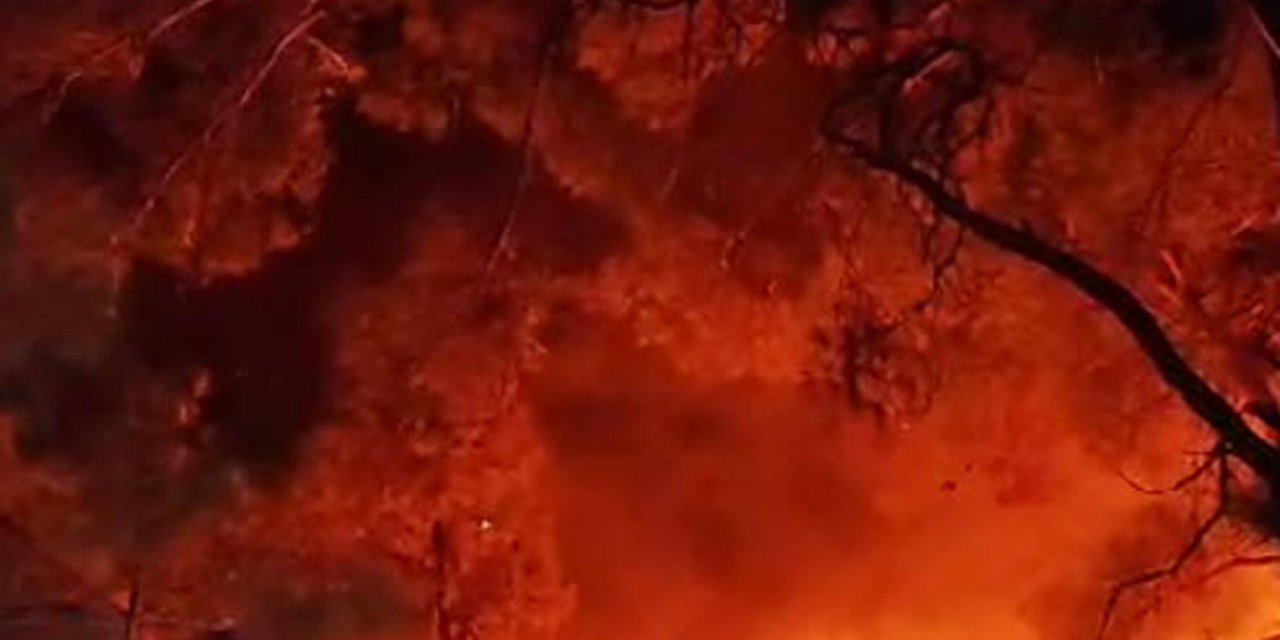 Düşen Helikopterdeki 3 Kişinin Öldüğü Menderes'teki Orman Yangınında 260 Hektar Alan Etkilendi