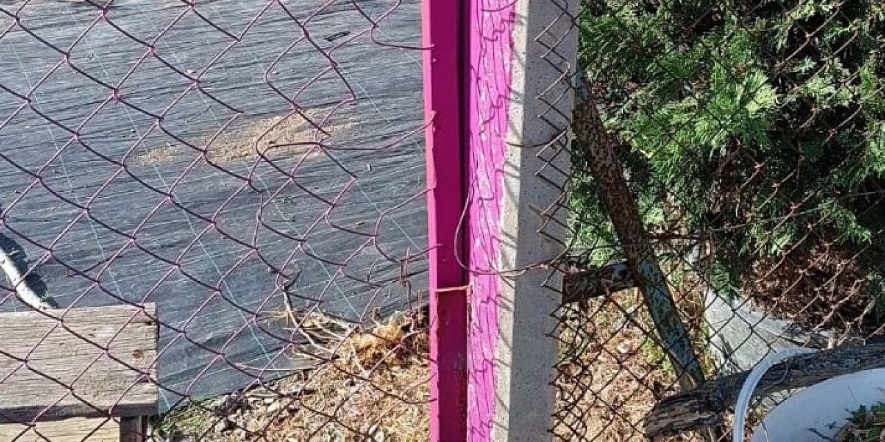 Kuşburnu Toplamak İçin Evden Çıktı, Bir Gün Sonra Tel Örgülere Takılı, Yaralı Bulundu