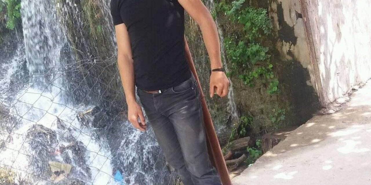 Ayının Saldırdığı Çoban, Köpekleri Sayesinde Kurtuldu