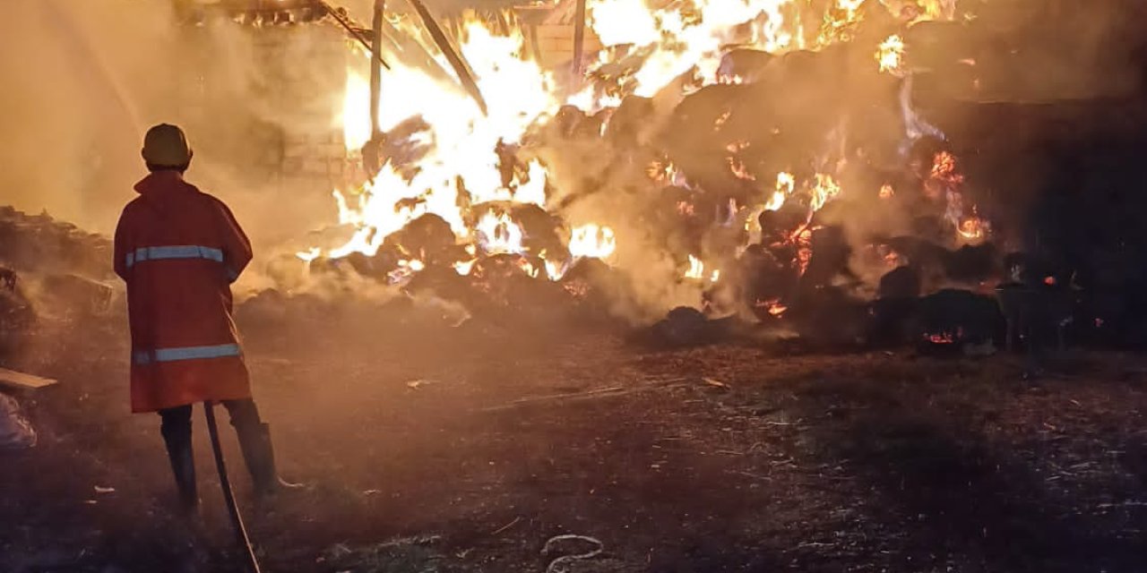 Iğdır'da 2 Ahır İle 8 Bin Balya Ot Alev Alev Yandı