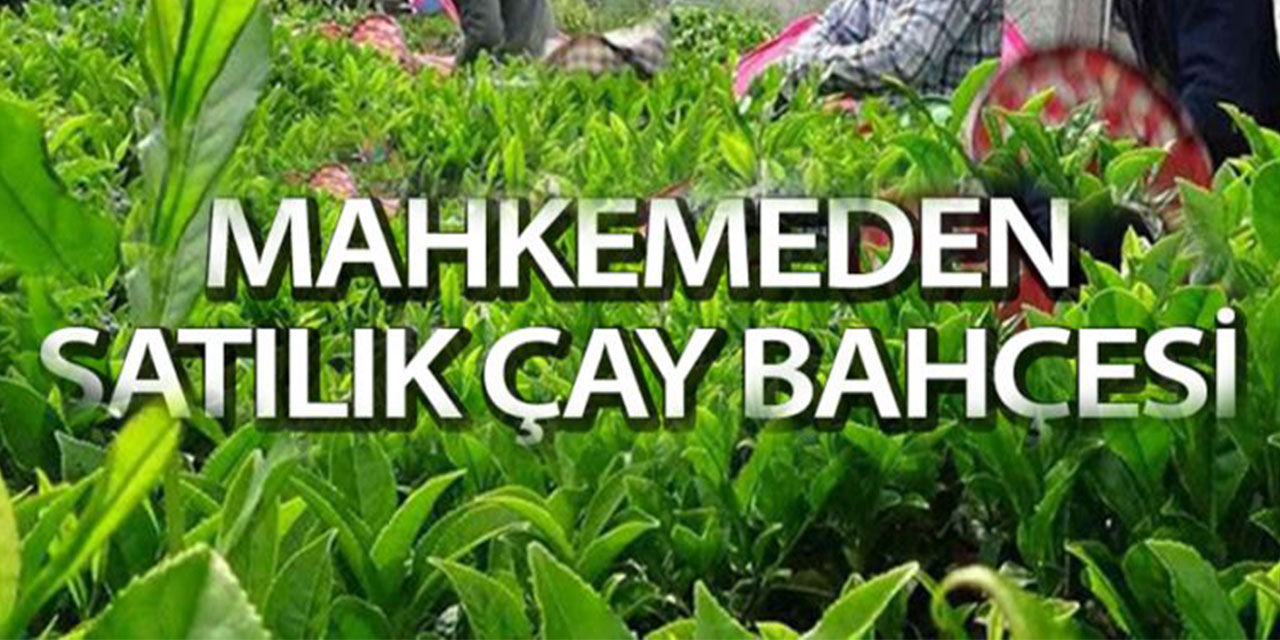 Rize'de çay bahçesi mahkemeden satılıktır