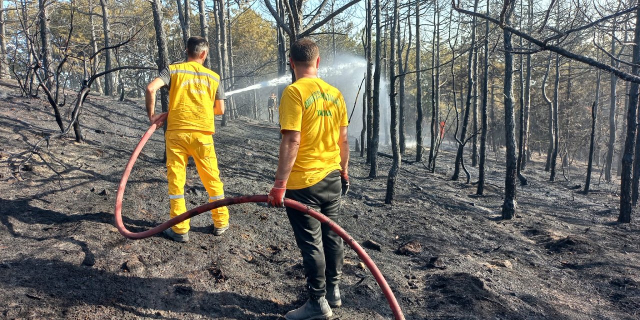 Gebze'de 2 Dönüm Orman Yandı