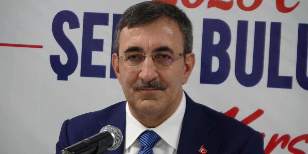 Cumhurbaşkanı Yardımcısı Yılmaz: Bağımsız Türkiye'yi Dosta Düşmana Gösterdik
